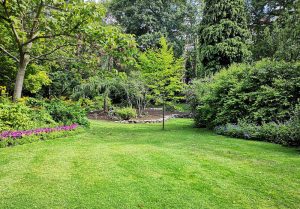 Optimiser l'expérience du jardin à Champ-sur-Layon